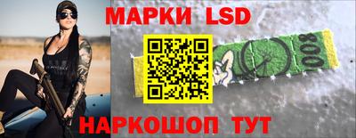 шишки Апшеронск