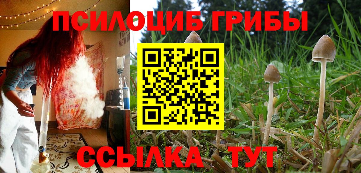 Галлюциногенные грибы ЛСД Михайловка