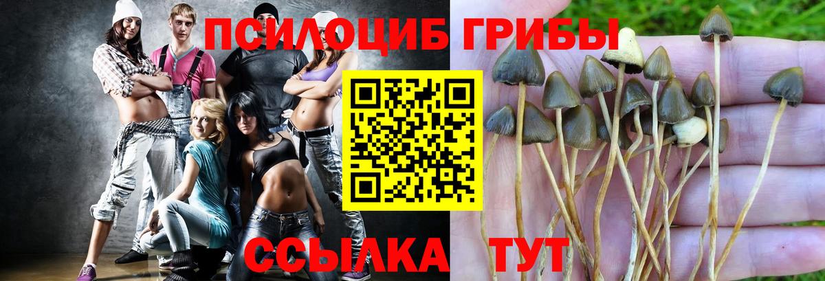 Псилоцибиновые грибы ЛСД  Галлюциногенные грибы MAGIC MUSHROOMS  Михайловка  Вход с VPN 